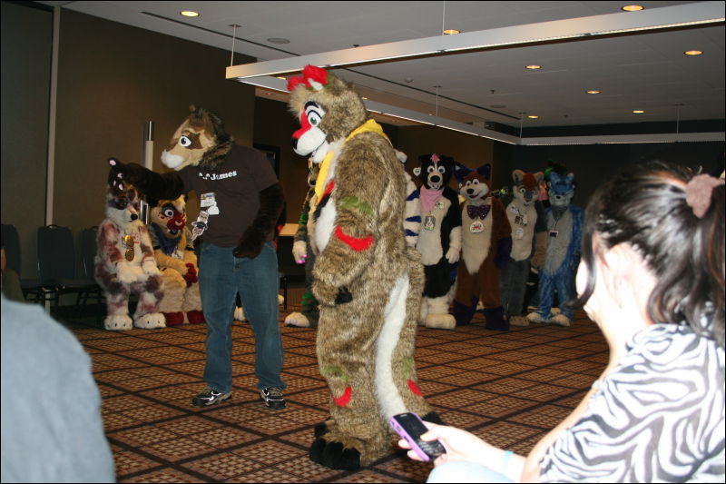 [StuntTiger_MFF2011_044.jpg]