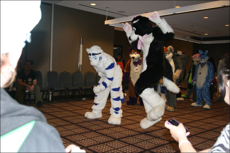 [StuntTiger_MFF2011_045.jpg]