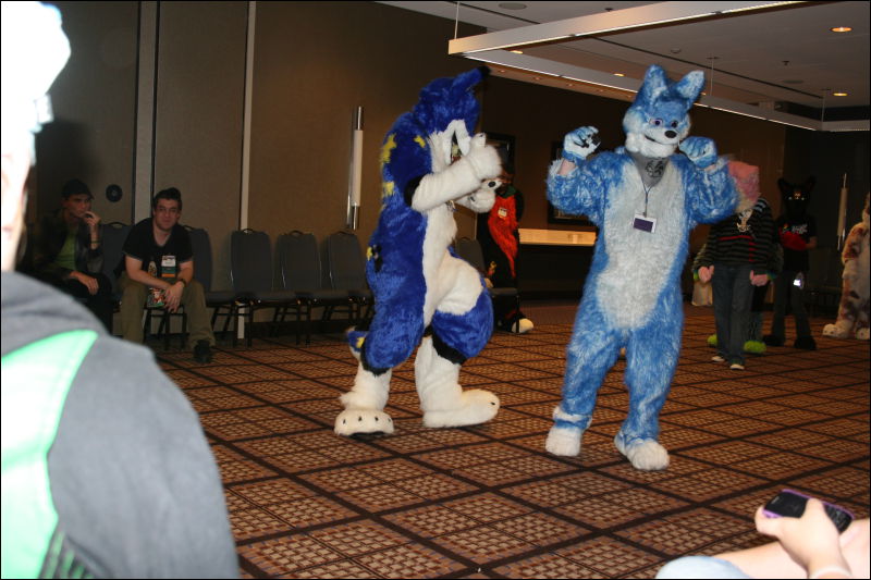 [StuntTiger_MFF2011_046.jpg]