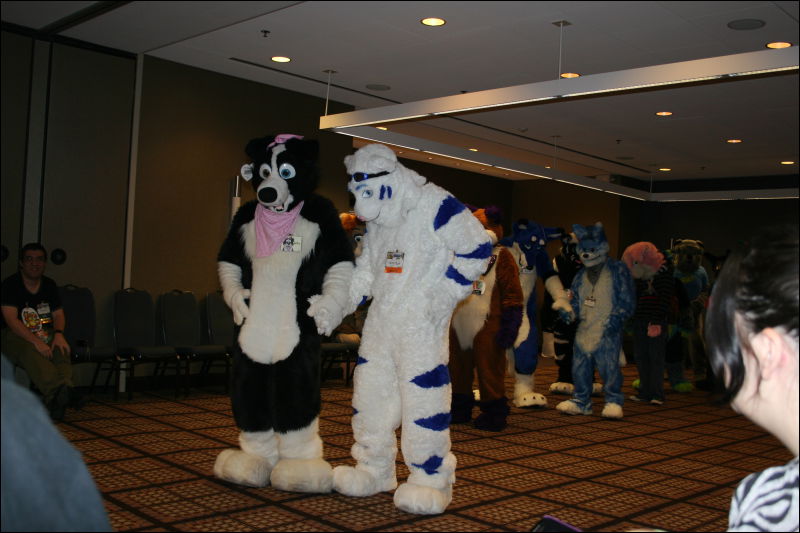 [StuntTiger_MFF2011_048.jpg]