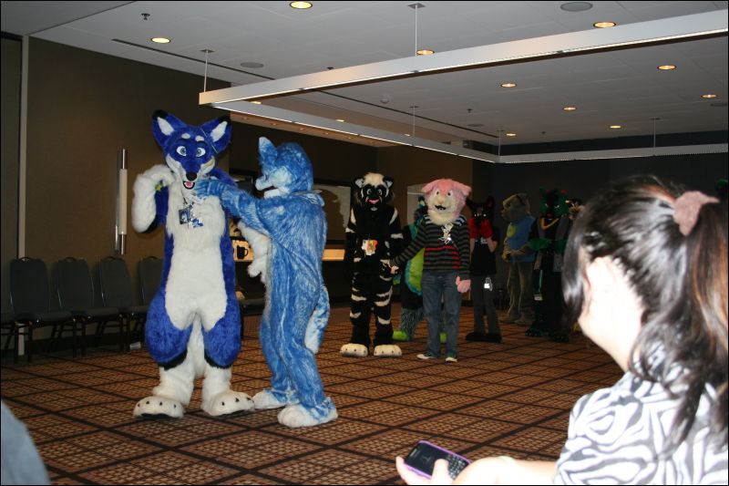 [StuntTiger_MFF2011_049.jpg]