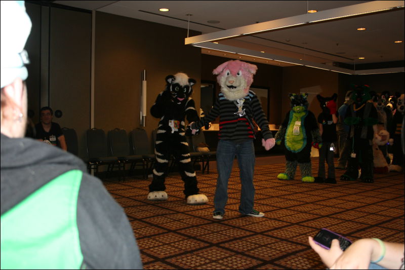 [StuntTiger_MFF2011_050.jpg]