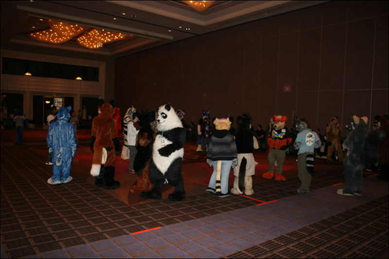 [StuntTiger_MFF2011_058.jpg]