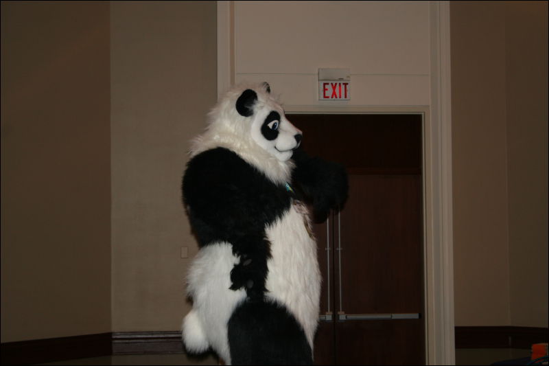 [StuntTiger_MFF2011_061.jpg]