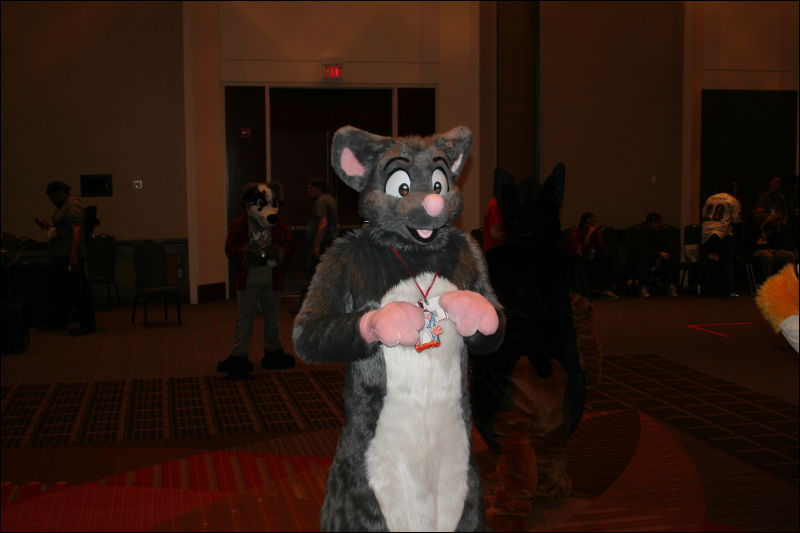 [StuntTiger_MFF2011_063.jpg]