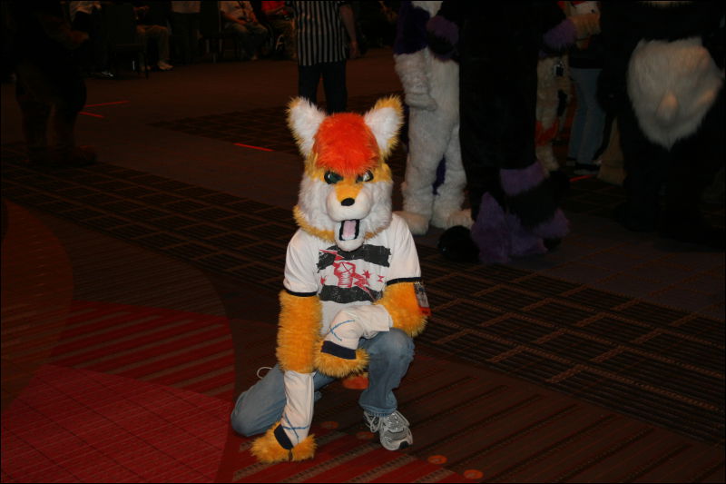 [StuntTiger_MFF2011_064.jpg]