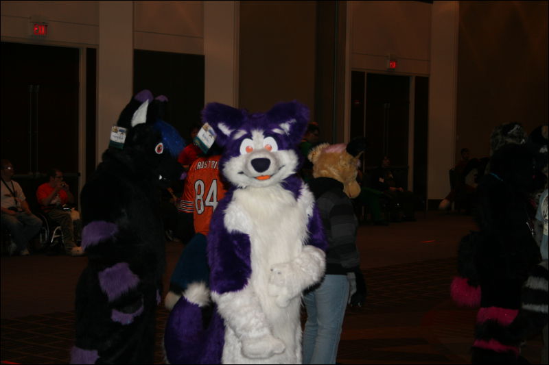 [StuntTiger_MFF2011_066.jpg]