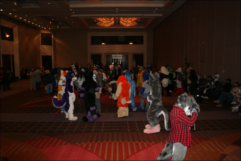 [StuntTiger_MFF2011_067.jpg]