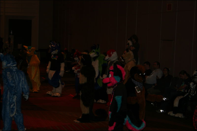 [StuntTiger_MFF2011_068.jpg]