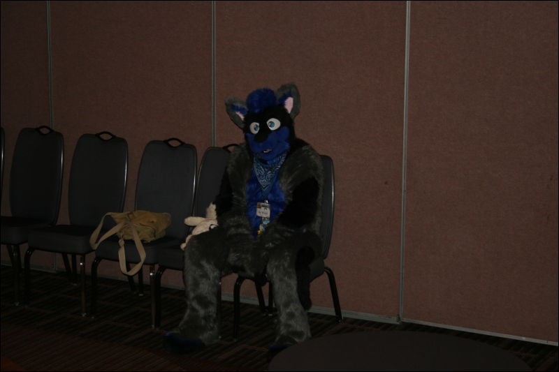 [StuntTiger_MFF2011_069.jpg]