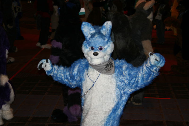 [StuntTiger_MFF2011_071.jpg]