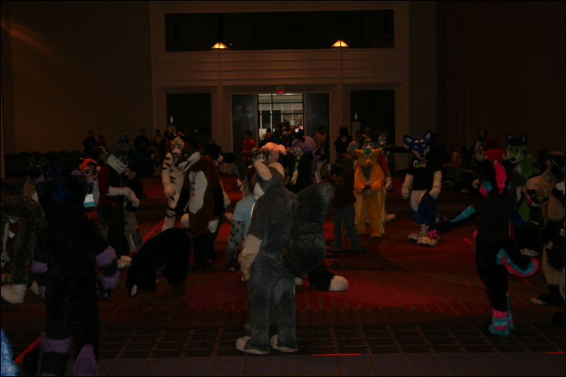 [StuntTiger_MFF2011_072.jpg]