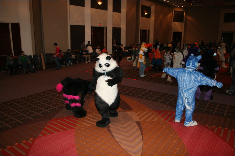 [StuntTiger_MFF2011_074.jpg]