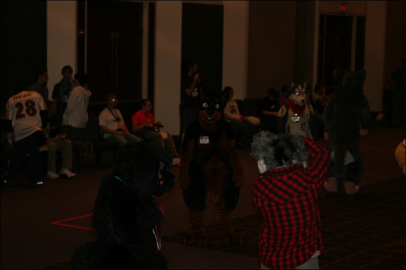 [StuntTiger_MFF2011_075.jpg]