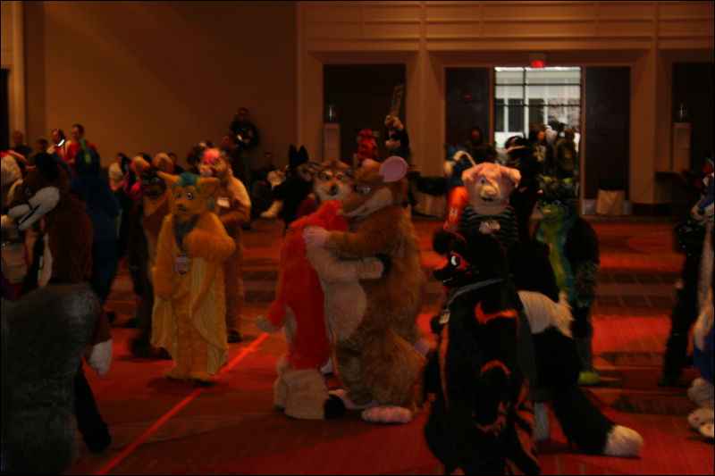 [StuntTiger_MFF2011_083.jpg]