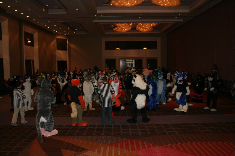 [StuntTiger_MFF2011_089.jpg]