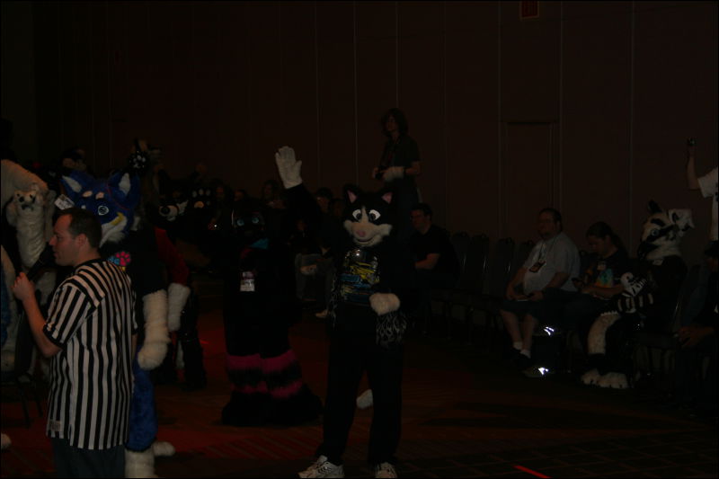 [StuntTiger_MFF2011_092.jpg]