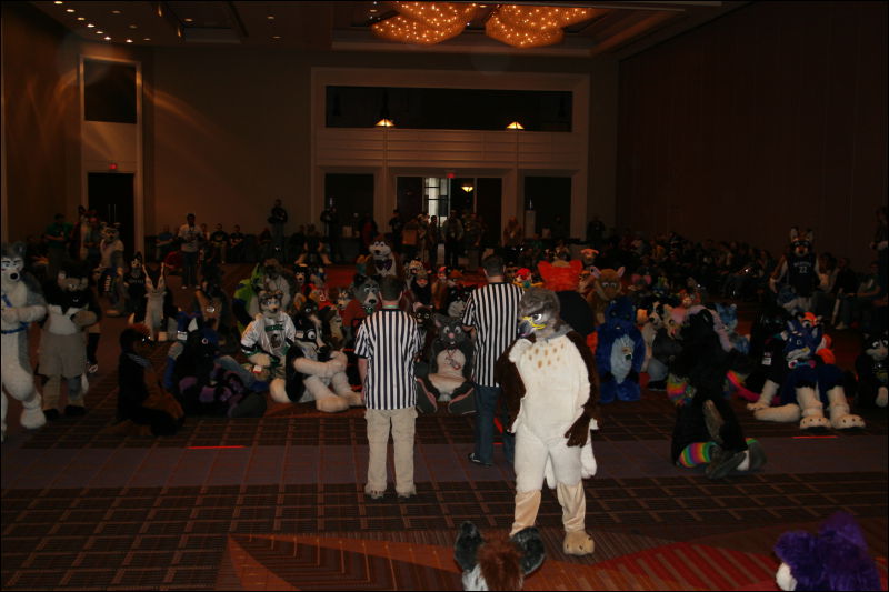 [StuntTiger_MFF2011_095.jpg]