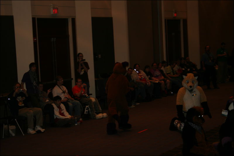 [StuntTiger_MFF2011_097.jpg]