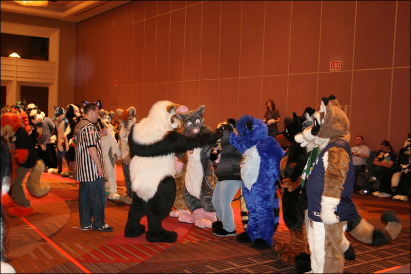 [StuntTiger_MFF2011_112.jpg]