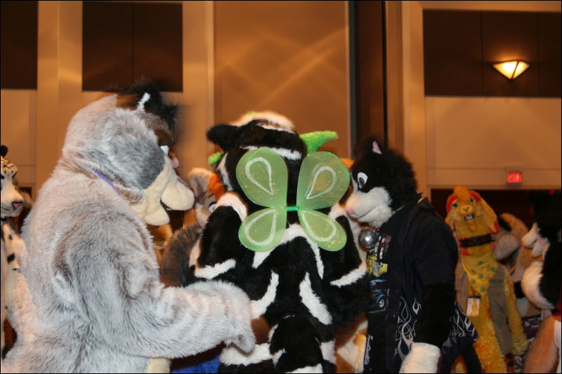 [StuntTiger_MFF2011_115.jpg]