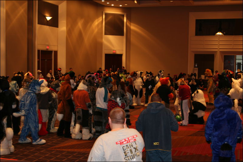 [StuntTiger_MFF2011_118.jpg]