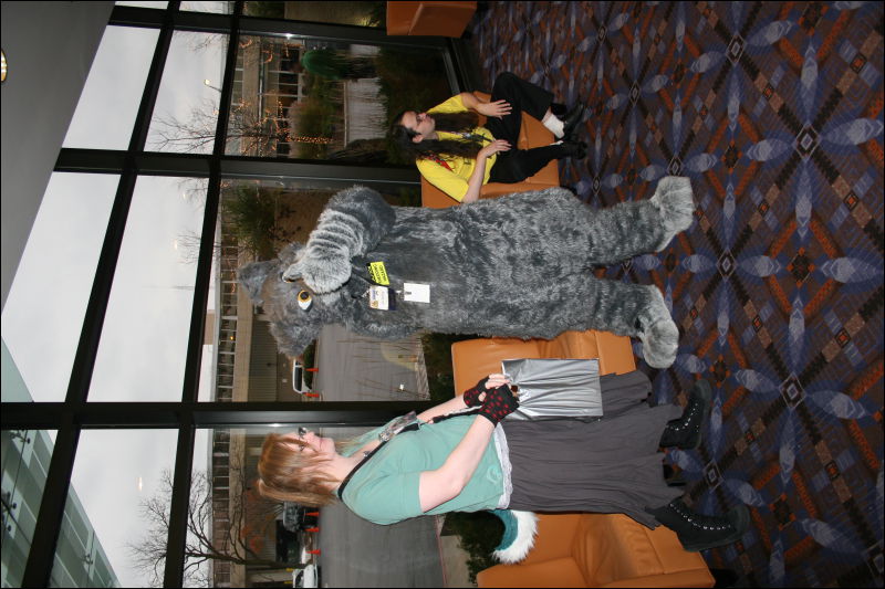 [StuntTiger_MFF2011_122.jpg]