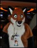 [SeanC MFF2012 031]