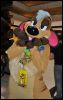 [SeanC MFF2012 036]