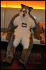 [SeanC MFF2012 043]