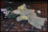 [SeanC MFF2012 049]