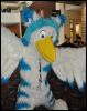 [SeanC MFF2012 050]