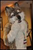 [SeanC MFF2012 055]