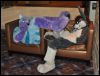 [SeanC MFF2012 060]