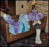 [SeanC MFF2012 061]