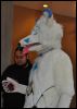 [SeanC MFF2012 078]