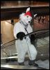 [SeanC MFF2012 082]