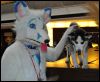 [SeanC MFF2012 084]