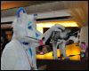 [SeanC MFF2012 085]