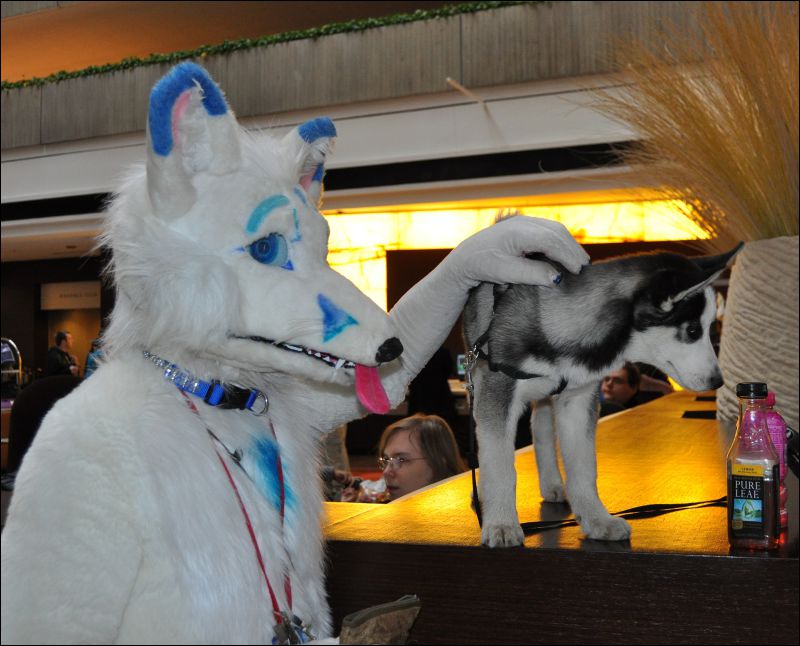 [SeanC_MFF2012_085.jpg]