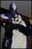 [SeanC MFF2012 095]