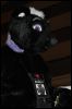 [SeanC MFF2012 101]