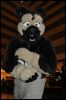 [SeanC MFF2012 102]