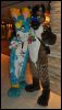 [SeanC MFF2012 117]