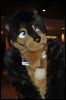 [SeanC MFF2012 118]