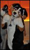 [SeanC MFF2012 151]