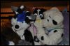 [SeanC MFF2012 152]