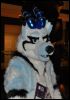 [SeanC MFF2012 156]