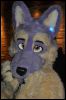 [SeanC MFF2012 174]