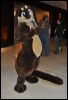 [SeanC MFF2012 192]